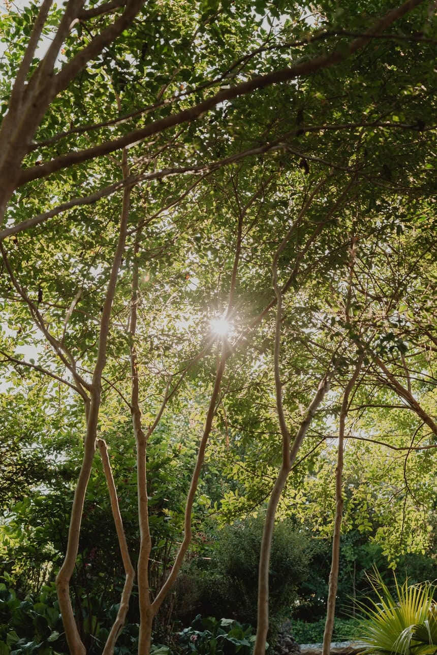 Chelsey Joao web 392