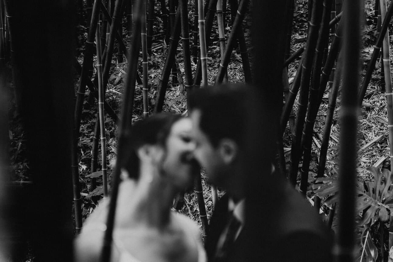 Chelsey Joao web 552